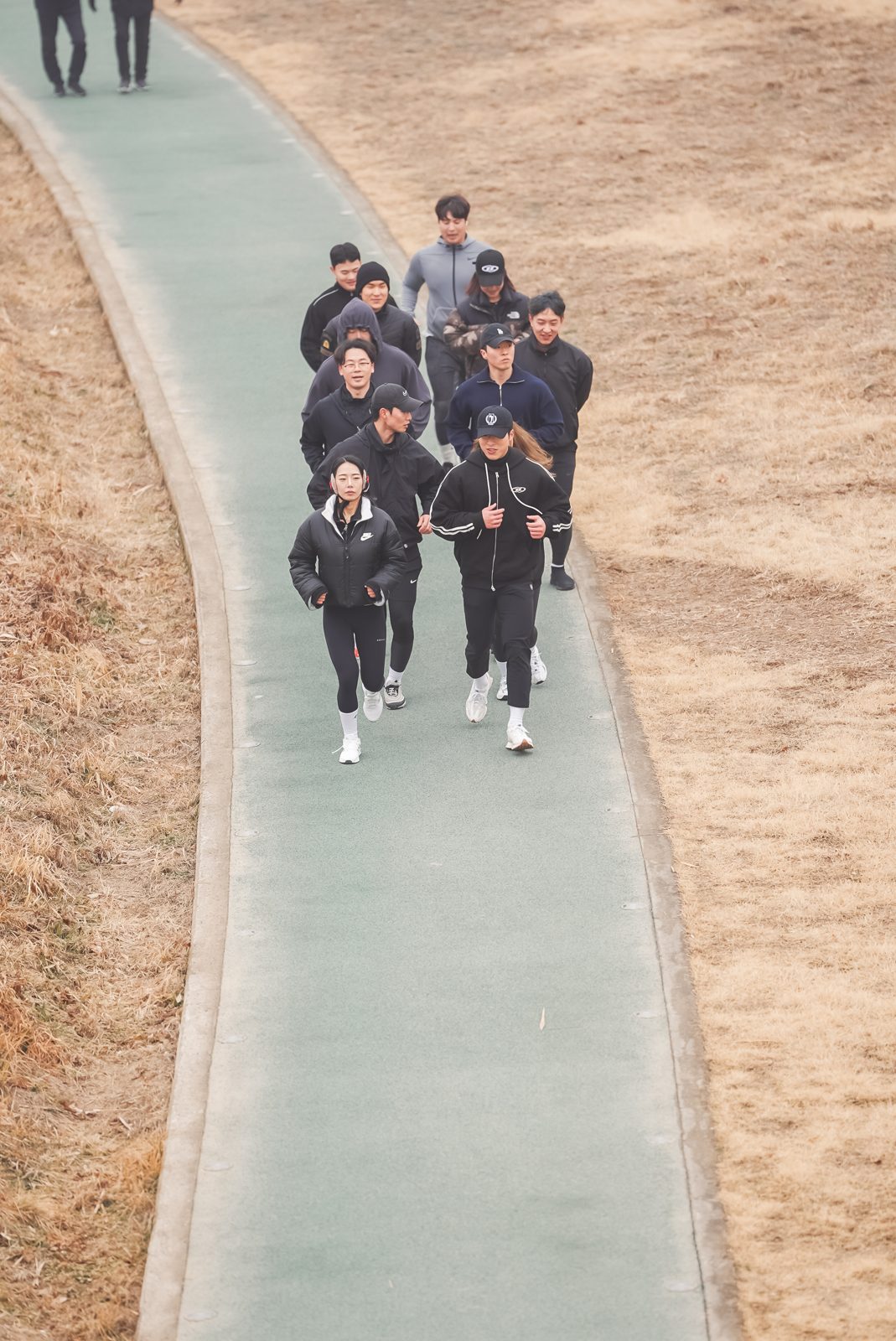 브로피트니스
