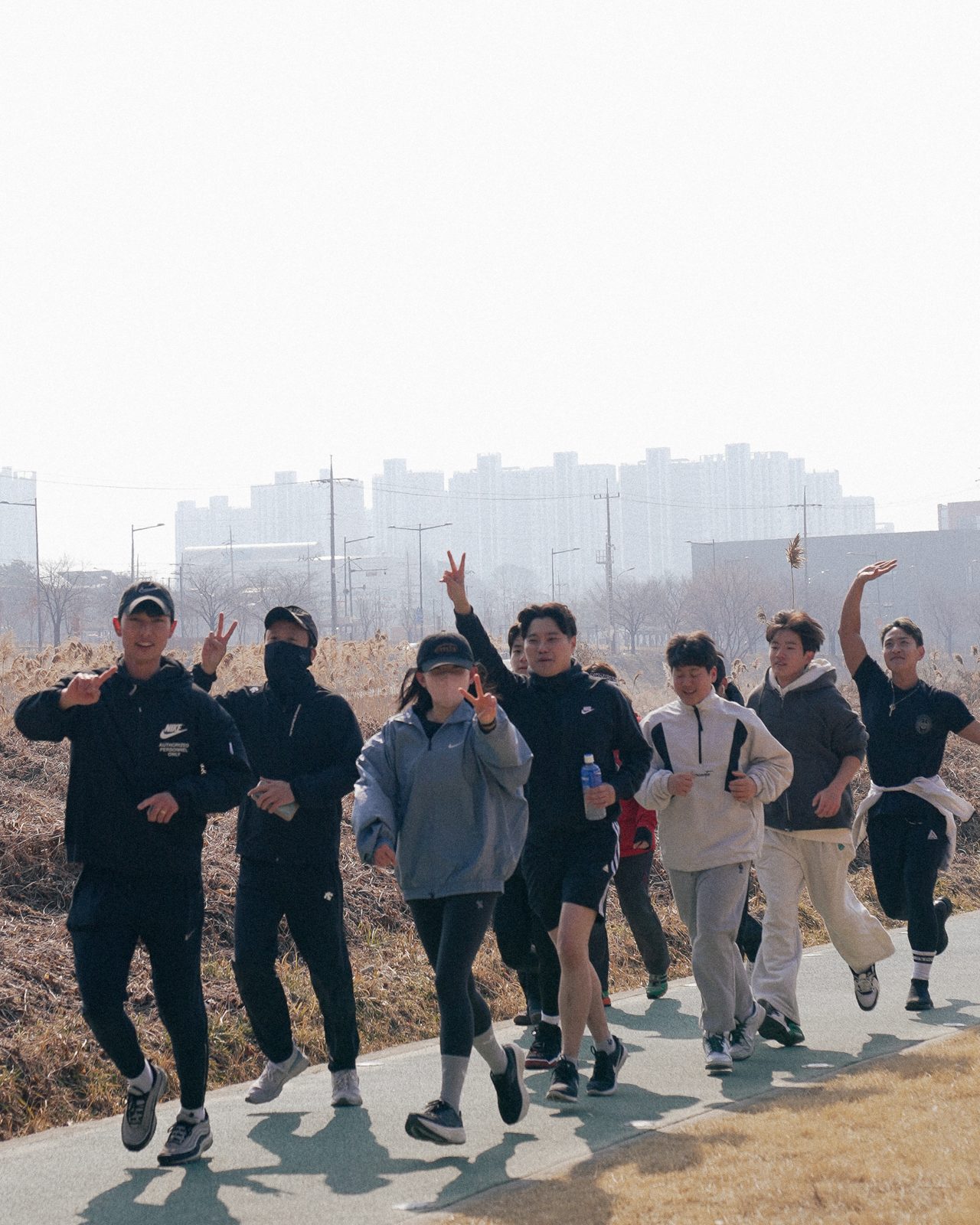 브로피트니스